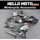 Kawasaki Ninja 400 2018-2024 Fairing P/N 4X39