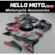 Kawasaki Ninja 400 2018-2024 Fairing P/N 4X43