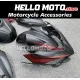 Kawasaki Ninja 400 2018-2024 Fairing P/N 4X43