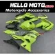 Kawasaki Ninja 400 2018-2024 Fairing P/N 4X55
