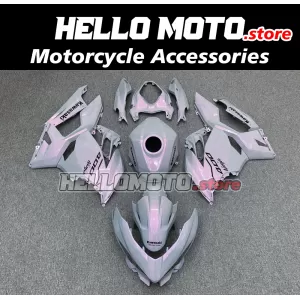 Kawasaki Ninja 400 2018-2024 Fairing P/N 4x58