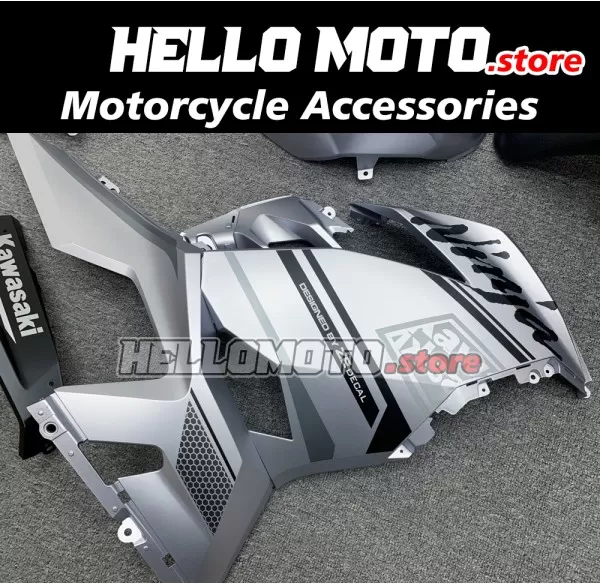 Kawasaki Ninja 400 2018-2024 Fairing P/N 4X60