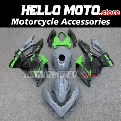 Kawasaki Ninja 400 2018-2024 Fairing P/N 4X66