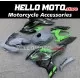 Kawasaki Ninja 400 2018-2024 Fairing P/N 4X66