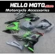 Kawasaki Ninja 400 2018-2024 Fairing P/N 4X66