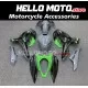Kawasaki Ninja 400 2018-2024 Fairing P/N 4X66