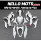 Kawasaki Ninja 400 2018-2024 Fairing P/N 4X8