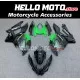Kawasaki Ninja 400 2018-2024 Fairing P/N 4X49