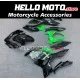 Kawasaki Ninja 400 2018-2024 Fairing P/N 4X49
