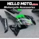 Kawasaki Ninja 400 2018-2024 Fairing P/N 4X49