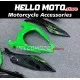 Kawasaki Ninja 400 2018-2024 Fairing P/N 4X49