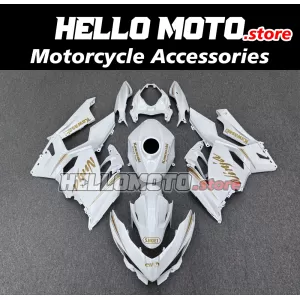 Kawasaki Ninja 400 2018-2024 Fairing P/N 4X73