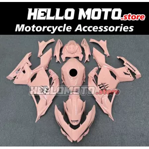 Kawasaki Ninja 400 2018-2024 Fairing P/N 4X76