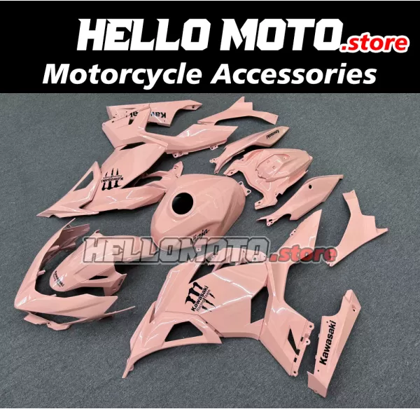 Kawasaki Ninja 400 2018-2024 Fairing P/N 4X76