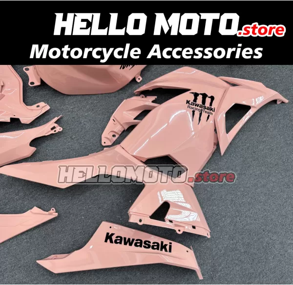 Kawasaki Ninja 400 2018-2024 Fairing P/N 4X76