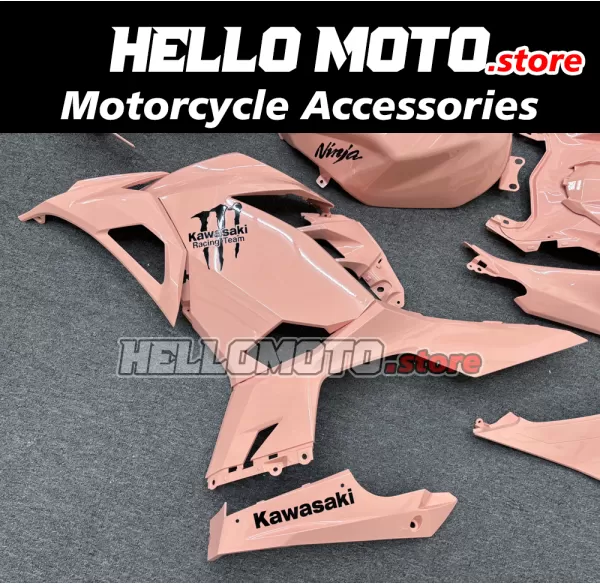 Kawasaki Ninja 400 2018-2024 Fairing P/N 4X76