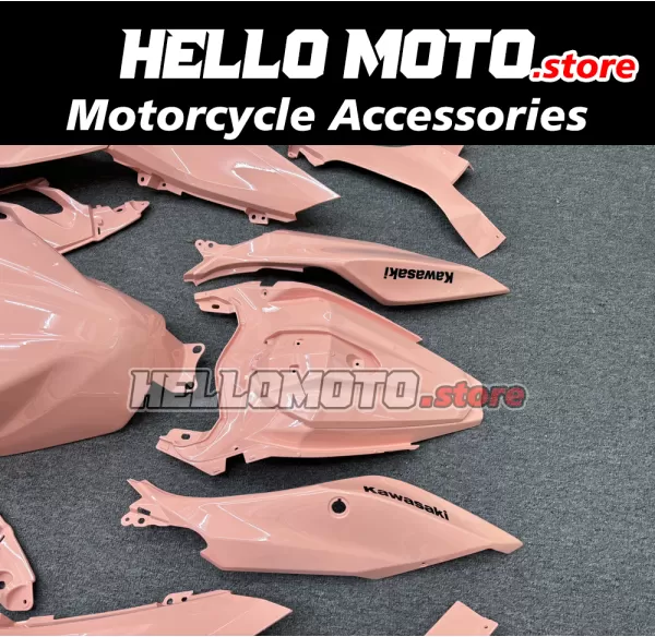Kawasaki Ninja 400 2018-2024 Fairing P/N 4X76