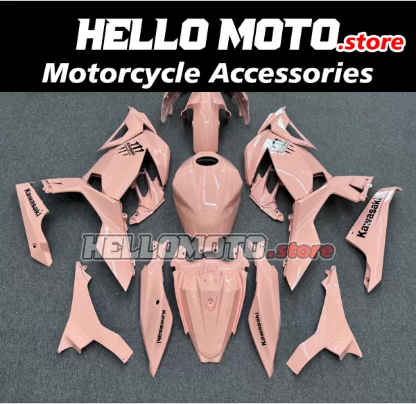 Kawasaki Ninja 400 2018-2024 Fairing P/N 4X76