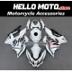 Kawasaki Ninja 400 2018-2024 Fairing P/N 4X79