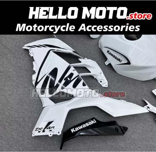 Kawasaki Ninja 400 2018-2024 Fairing P/N 4X79