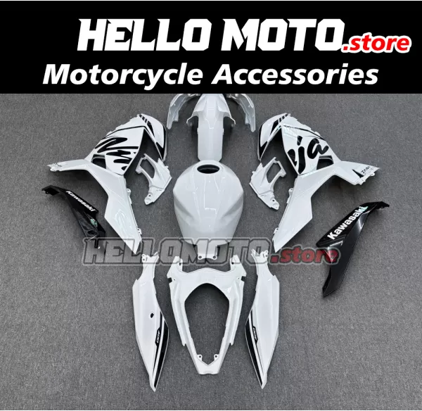 Kawasaki Ninja 400 2018-2024 Fairing P/N 4X79