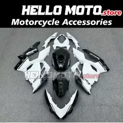 Kawasaki Ninja 400 2018-2024 Fairing P/N 4X69