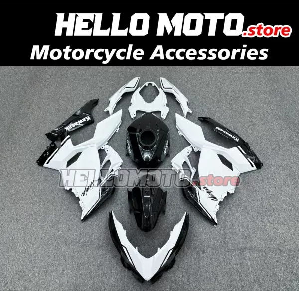 Kawasaki Ninja 400 2018-2024 Fairing P/N 4X69