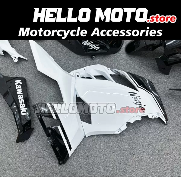 Kawasaki Ninja 400 2018-2024 Fairing P/N 4X69