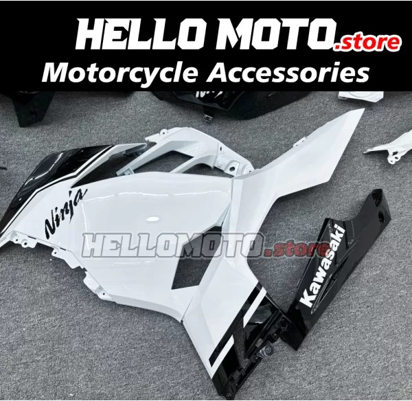 Kawasaki Ninja 400 2018-2024 Fairing P/N 4X69