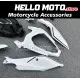 Kawasaki Ninja 400 2018-2024 Fairing P/N 4X69
