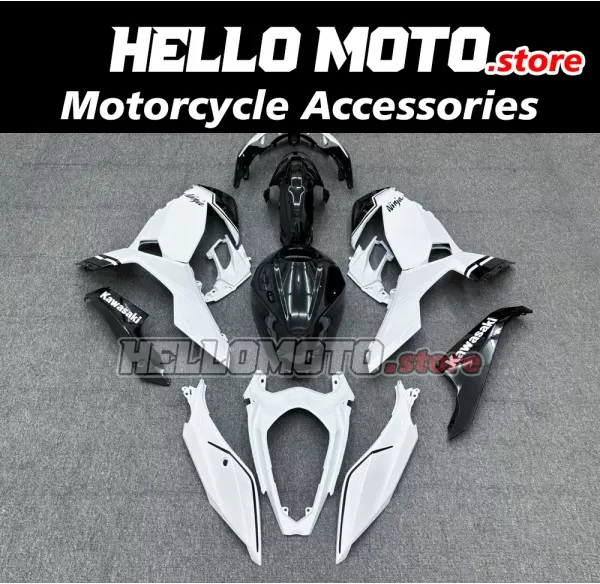 Kawasaki Ninja 400 2018-2024 Fairing P/N 4X69
