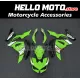 Kawasaki Ninja 500 2024-2026 Fairing P/N 4AW6