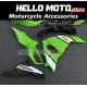 Kawasaki Ninja 500 2024-2026 Fairing P/N 4AW6