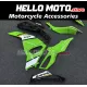 Kawasaki Ninja 500 2024-2026 Fairing P/N 4AW6