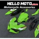 Kawasaki Ninja 500 2024-2026 Fairing P/N 4AW6