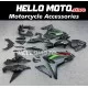 Kawasaki Ninja 650 2020-2026 Fairing P/N 4AD1