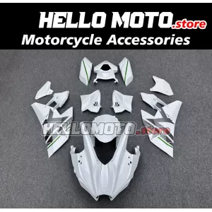 Kawasaki Ninja H2 2015-2026 Fairing P/N 4AU4