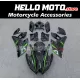 Kawasaki Ninja H2 2015-2026 Fairing P/N 4AU6