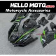 Kawasaki Ninja H2 2015-2026 Fairing P/N 4AU6