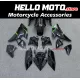 Kawasaki Ninja H2 2015-2026 Fairing P/N 4AU6