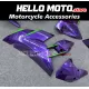 Kawasaki Ninja H2 2015-2026 Fairing P/N 4AU7