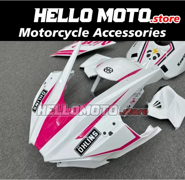 Kawasaki Ninja H2 2015-2026 Fairing P/N 4AU3