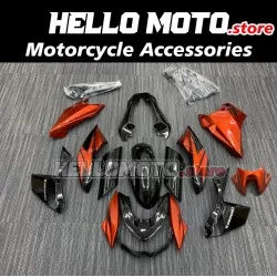 Kawasaki Z1000 2010-2013 Fairing P/N 4AF1