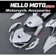 Kawasaki Z1000 2014-2020 Fairing P/N 4AG5