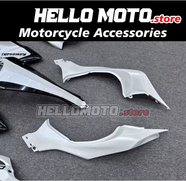 Kawasaki Z1000 2014-2020 Fairing P/N 4AG5