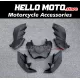 Kawasaki Z250 2013-2017 / Z300 2015-2018 Fairing P/N 4AM1