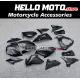 Kawasaki Z800 2013-2016 Fairing P/N 4AK1