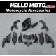 Kawasaki Z900 2020-2024 Fairing P/N 4BG10