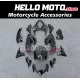 Kawasaki Z900 2020-2024 Fairing P/N 4BG3