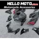 Kawasaki Z900 2020-2024 Fairing P/N 4BG3